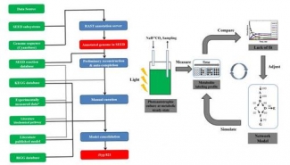 flux balance analysis (FBA, left figure) and isotopically nonstationary metabolic flux analysis (INST-MFA, right figure) 