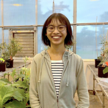 Photo of Undergraduate Student Alyssa Leung taken in the Waksman Greenhouse
